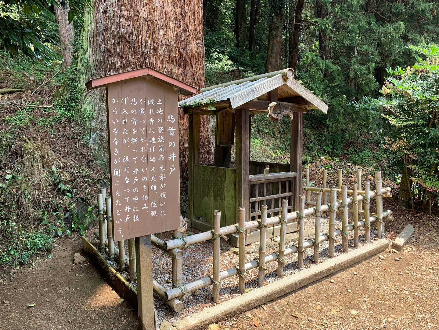 ここには、七不思議があります