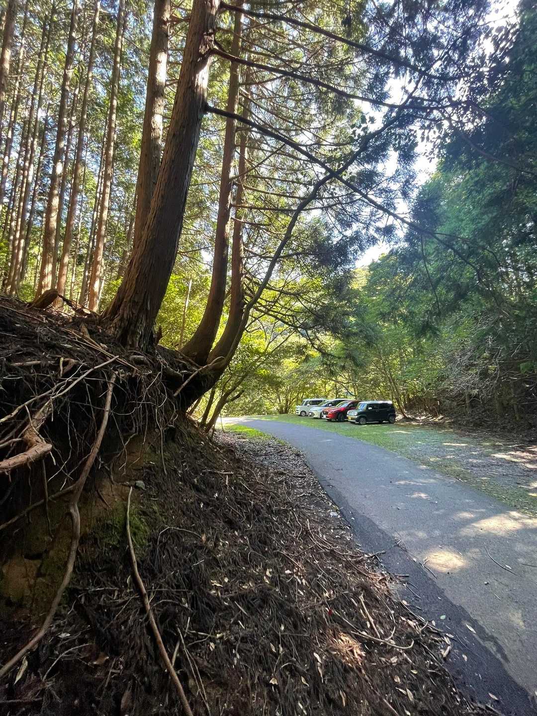 小岐須キャンプ場のずっと奥に駐車場があります。デンジャラスな道のりです。