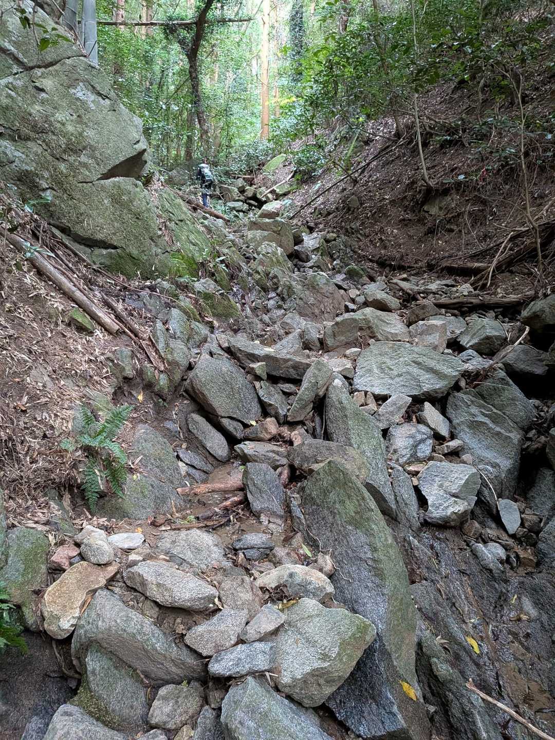 立花山-立花山登山道口・大権現登山道口 周回コースの写真