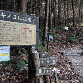 ここからがきついぜ