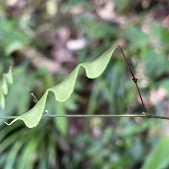 君はくっつき虫

なので、触りません🤣