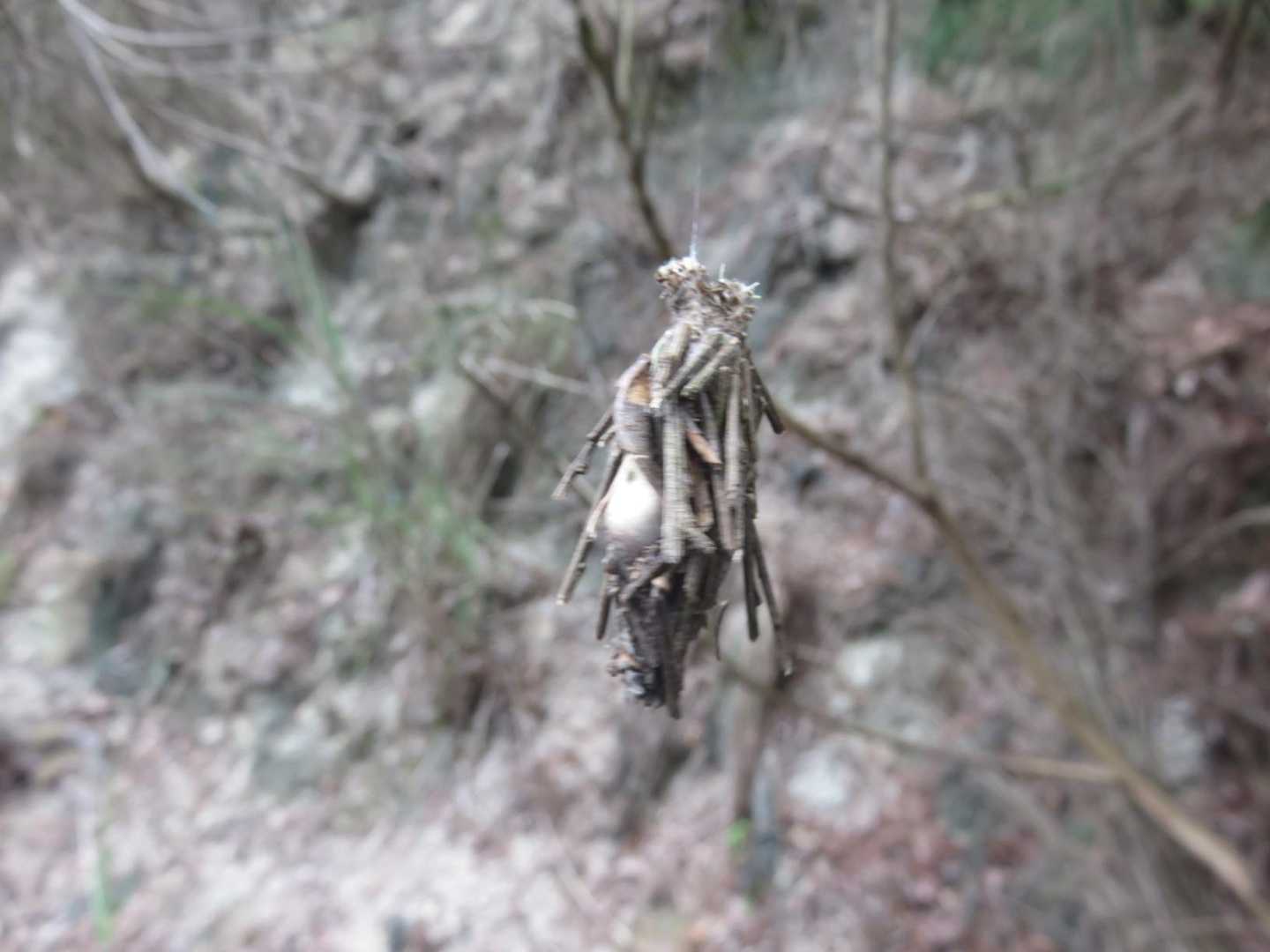 アルプス登山口バス停-笹間ヶ岳 周回コースの写真