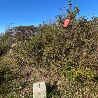 最高点の少し先に三角点 四等三角点 夕暮山 720.20m