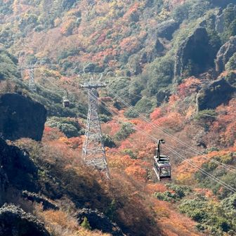 
　会長〜〜〜〜

   お腹空いたよ〜〜〜〜😫
