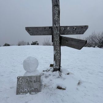 雪降る中、40過ぎたおばさんが1人頑張って作ったが…なんか違ーう😕