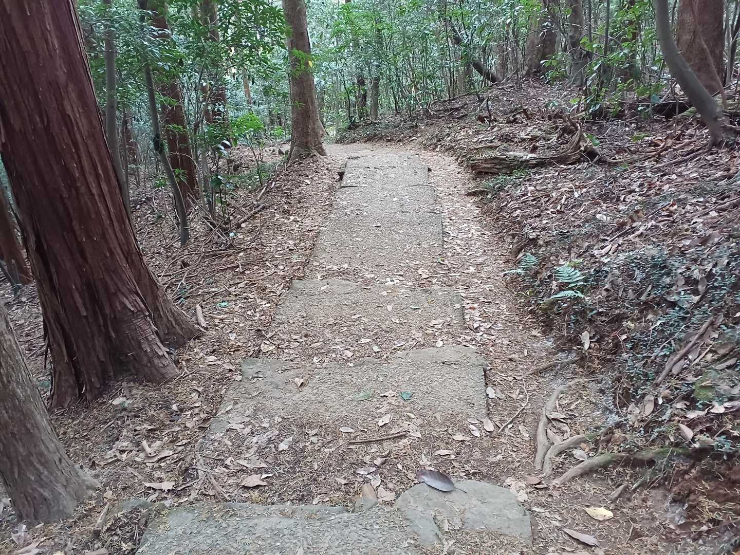 空いてていいんだけど…