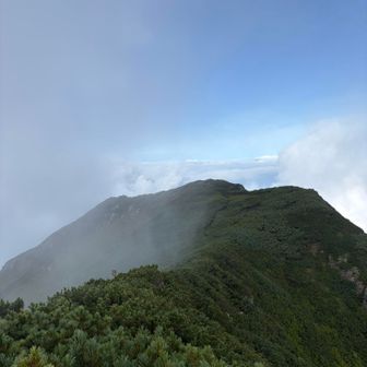 マイナーな方の登山道