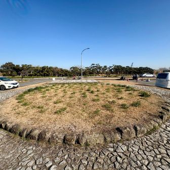 城ヶ島砲台西側砲塔跡
今はほぼ花壇状態