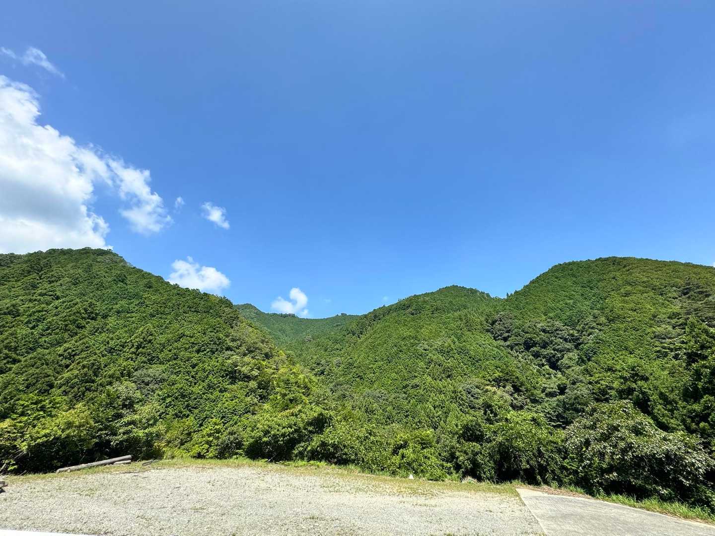 今日歩いた稜線　( ´∀｀)