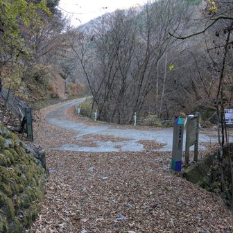 小菅林道（小菅大菩薩道赤沢登山口）に到着