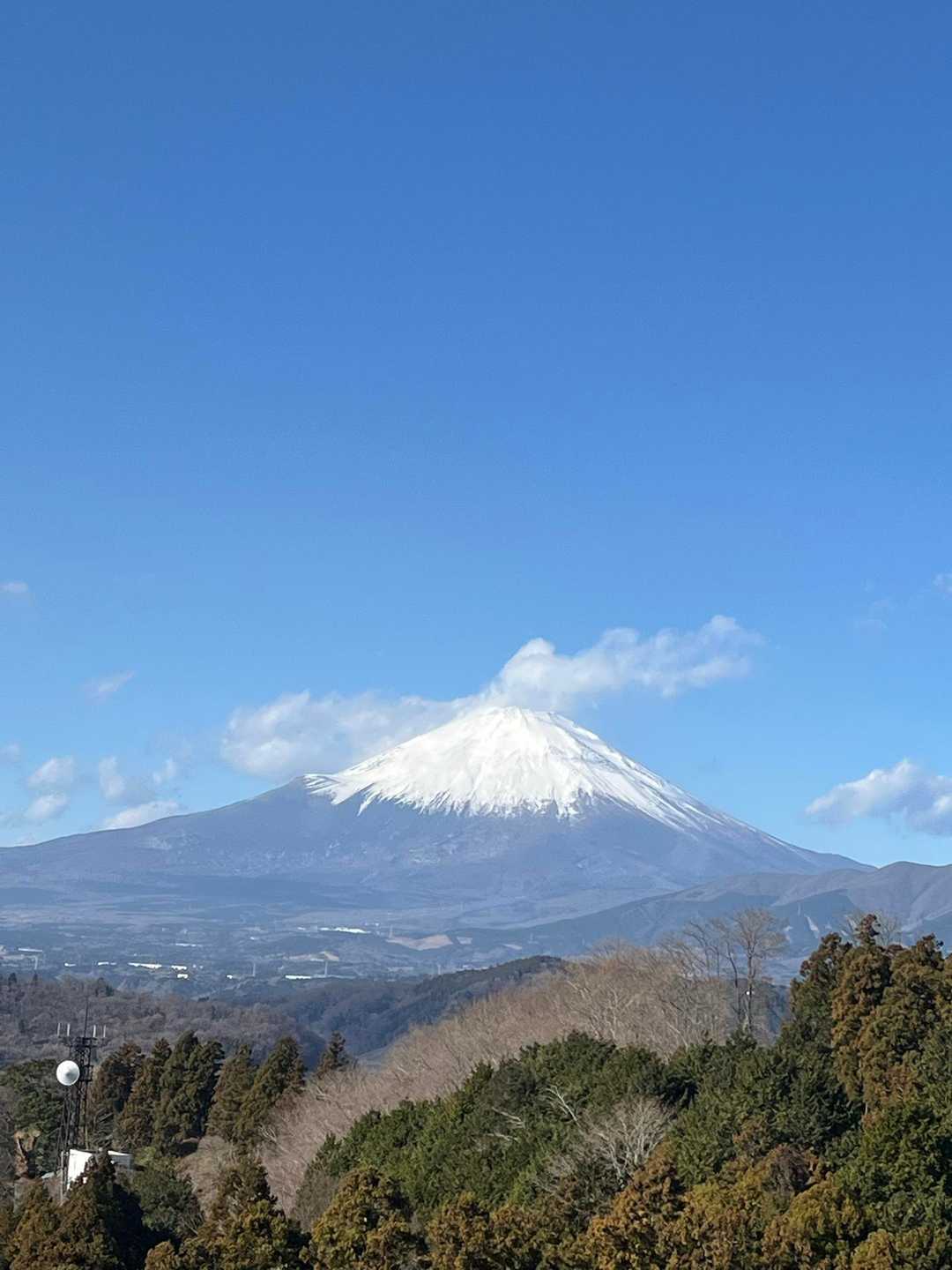 大野山 往復コースの写真