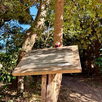 八俵山を通過して高麗神社側に降りてみますね