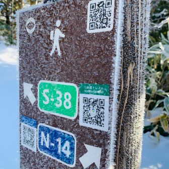 今朝は冷えました～マイナス6度