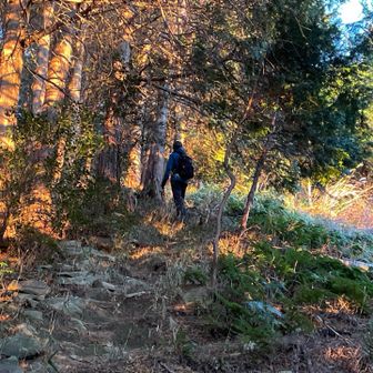 夕焼けになってきた
急げー💨朝のうどん時間がもったいなかったー