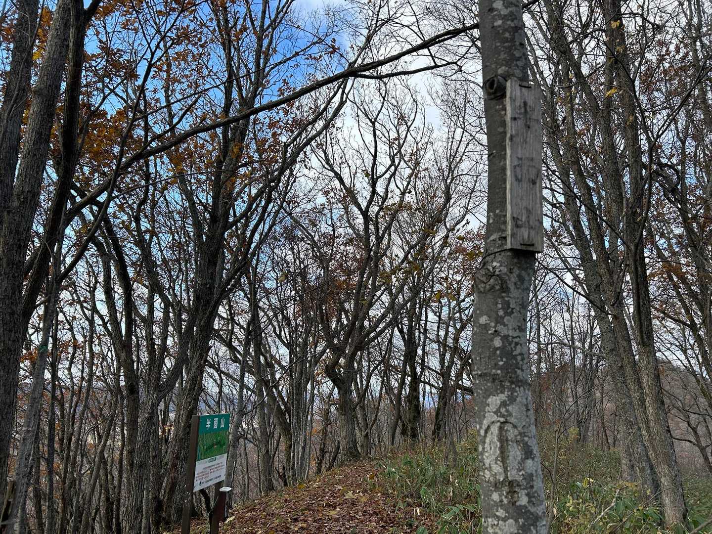 半面山ちゃーく♪