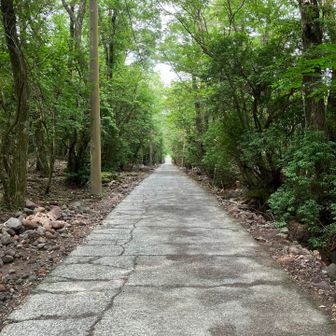 長者原までの道