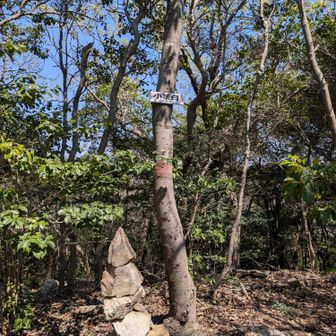 はじめまして
子茶臼