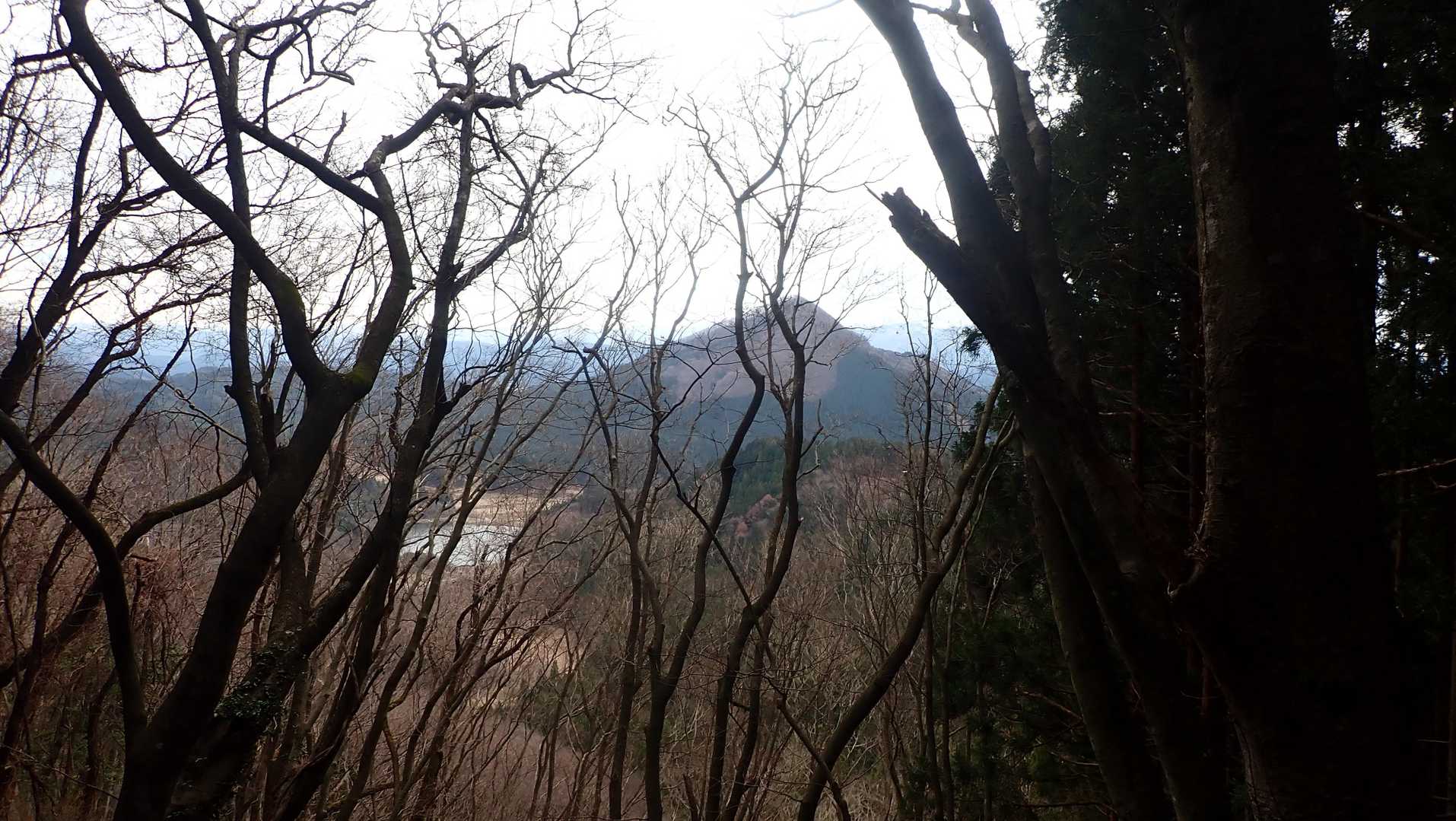 お向かいに森山