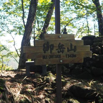 御岳山(1,343m)到着❗
やはり先ほどの標識は付け間違いかと思うのですが・・🤔