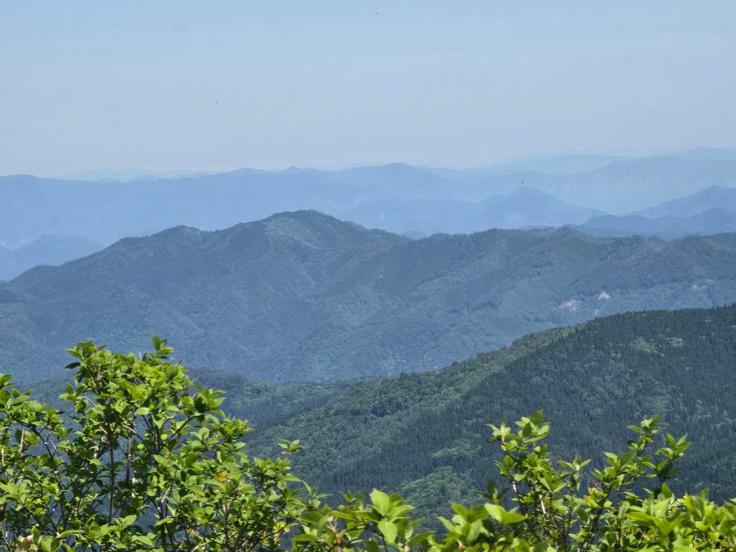 獅子ヶ谷登山口-十方山-奥三ツ倉-前三ツ倉-丸子頭 周回コースの写真