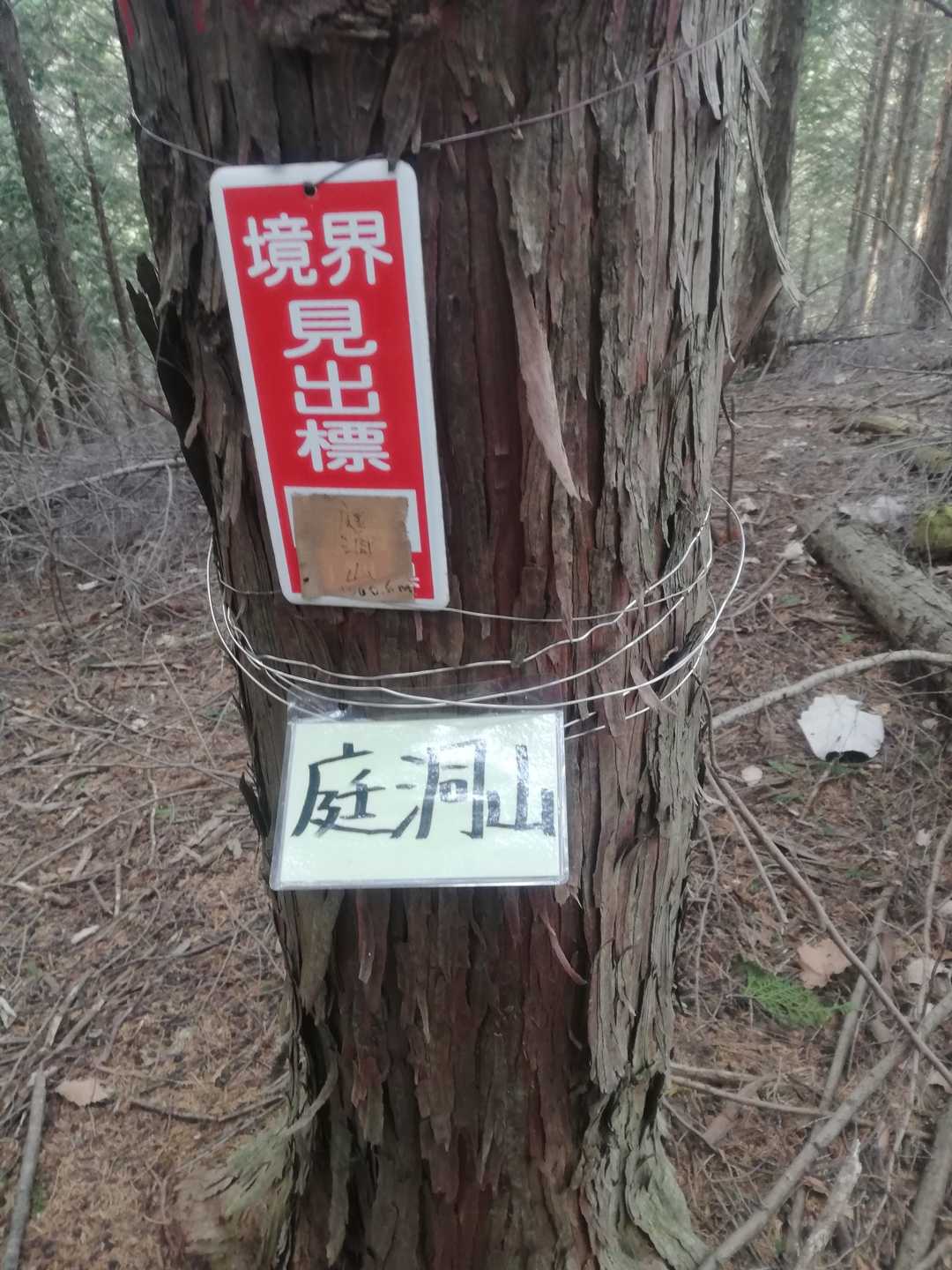 最初のピーク