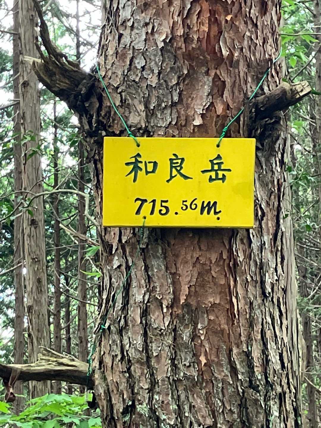 山頂