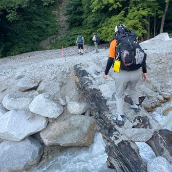 丸太橋をビビりながら通過