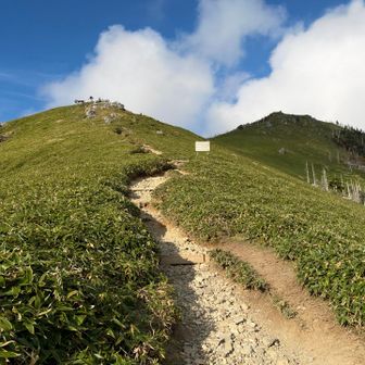 稜線の登山道に合流、今回は時間の都合上次郎笈には行かず、そのまま剣山山頂へ