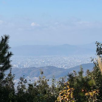 京都市内も見えます。
京都タワーが❣️

下山メシが待ってるので、先を急ぎましょう…