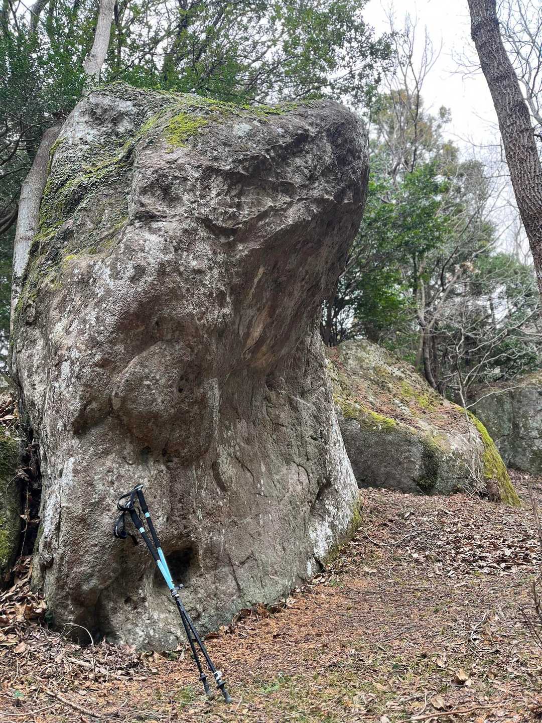 自然に出来た大きな岩。何百年なのか、何千年前からあるのか、魅力ある神秘的な城山の道😌
