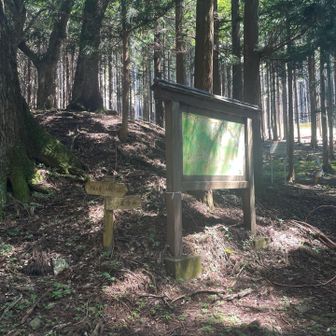 大丹波峠です。