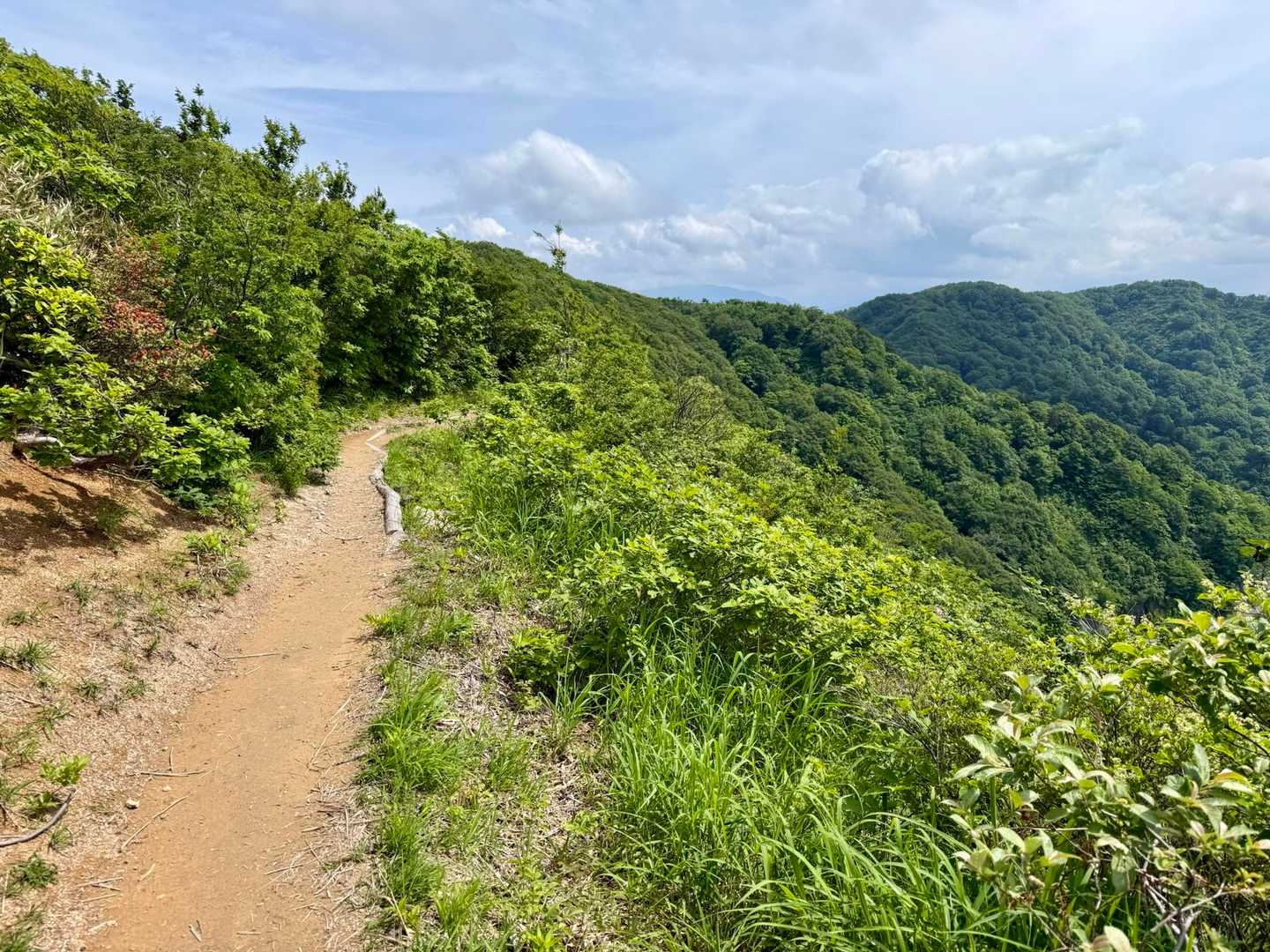 この区間だけ展望が開けた登山道でした✨