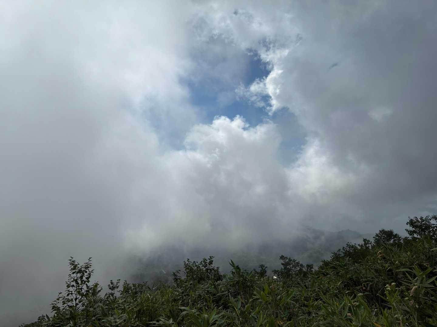 朝は晴れてたのに雲が出てきて白馬三山がまったく見えなくなってしまった😂