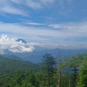 山頂では富士山が見えました。大菩薩嶺から歩いてきたと言う男性の話だと早い時間はもっとくっきり見えたみたい。
今日だと駅から滝子山に登るのもありだったかも？

この男性にマルバダケブキの名前を間違えて伝えてしまいました…ごめんなさい…
