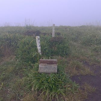 足を伸ばして3座目の岩井川岳⛰️
朝露凄くて、靴の中含めて下半身ビショビショ😱
カッパの下必要でした😅