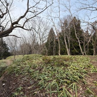 城跡の雰囲気あります
本丸跡とかあったのかも🤔