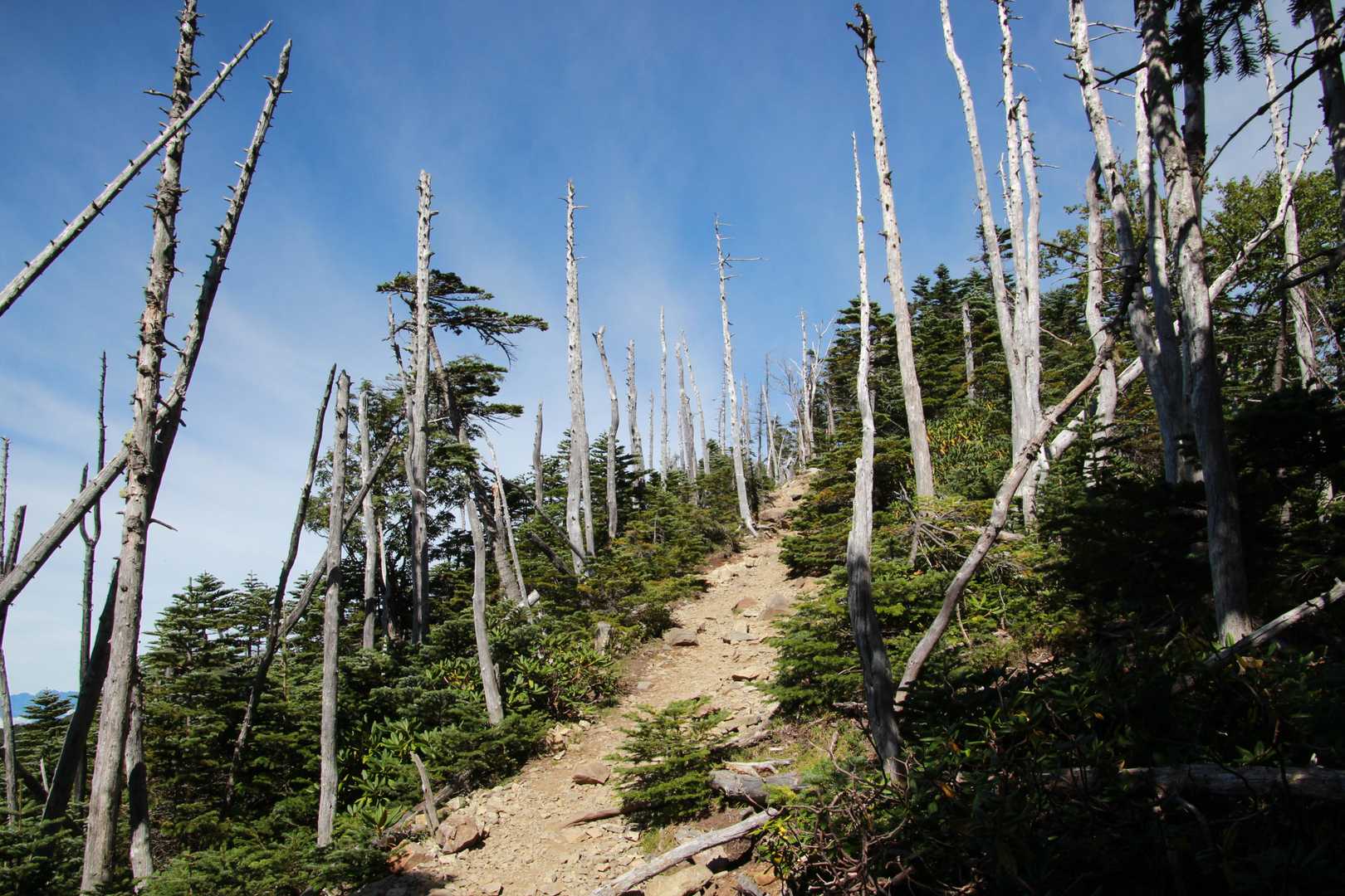 大弛峠-朝日峠-朝日岳-金峰山-瑞牆山荘バス停 縦走コースの写真