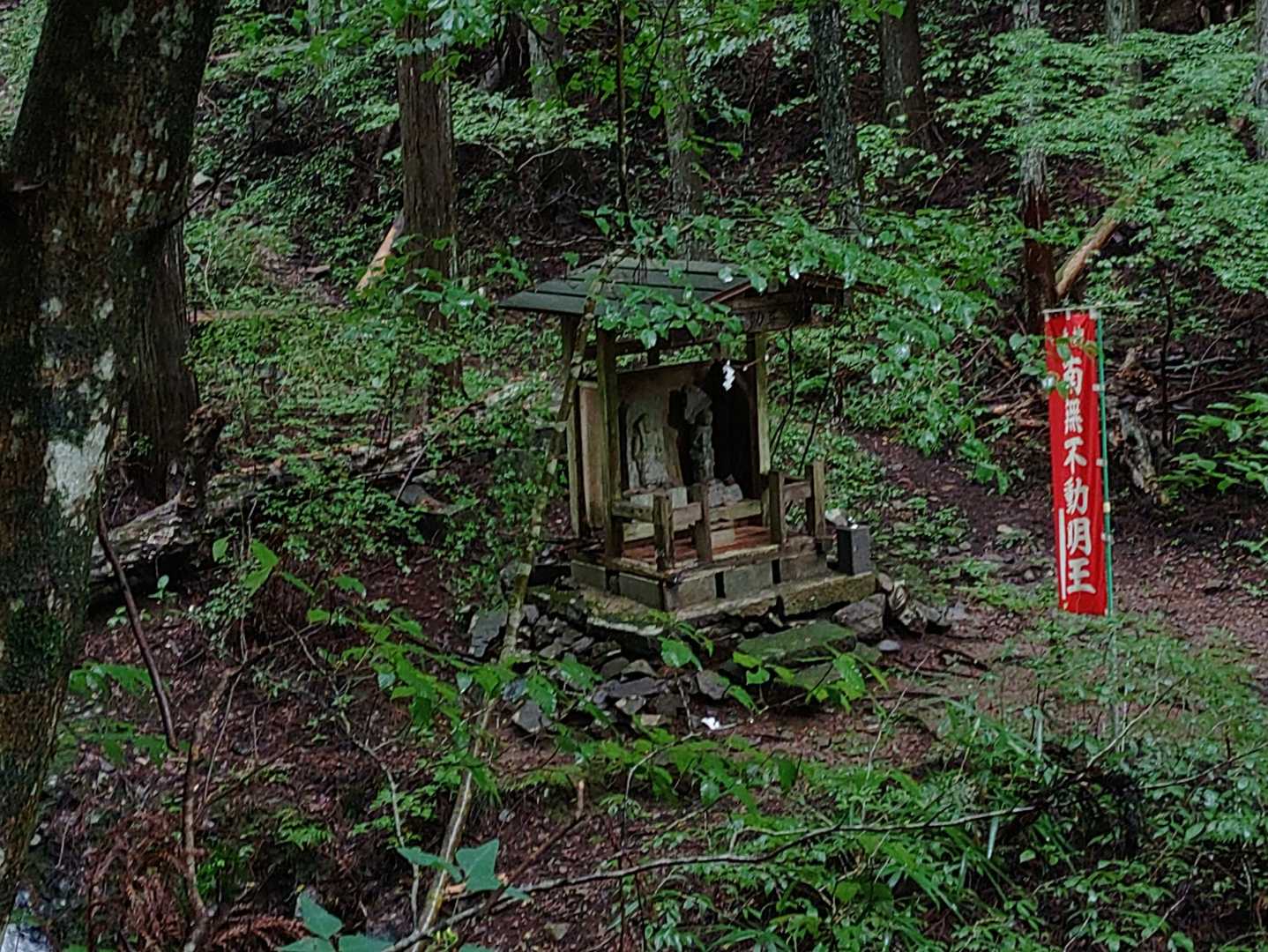 ご挨拶😌🙏✨