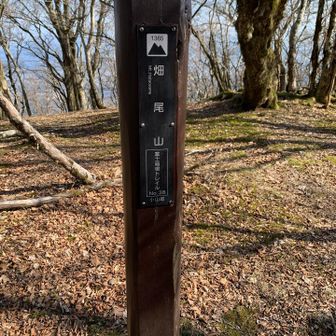 ⑩畑尾山、1365m
展望なし。静かです。