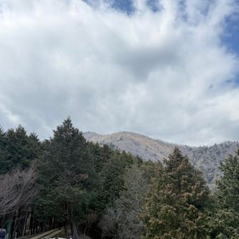 振り返り大山⛰️