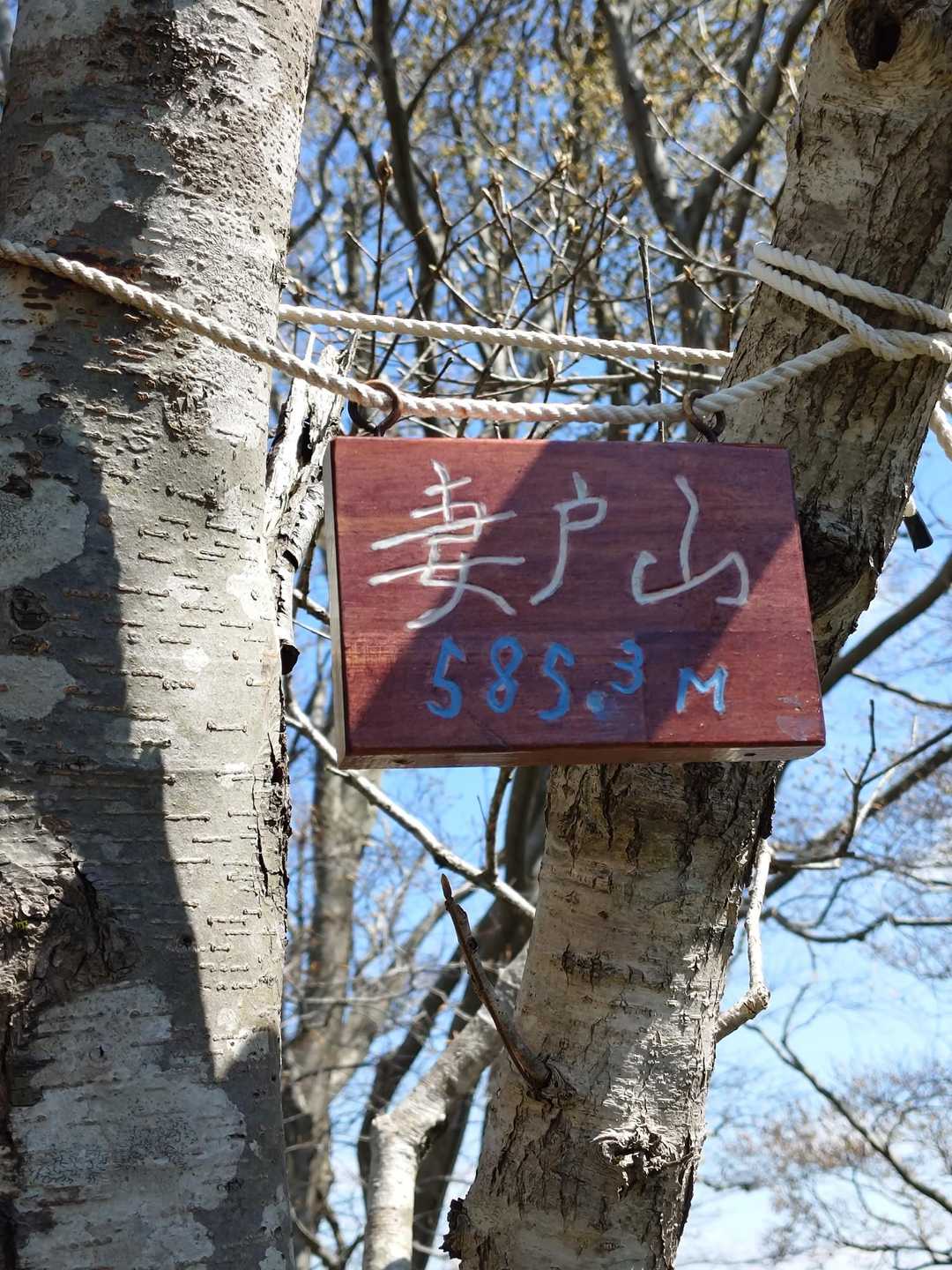 妻戸山