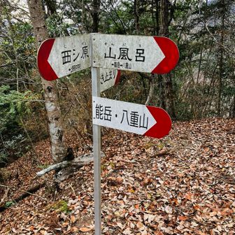 山風呂が気になる