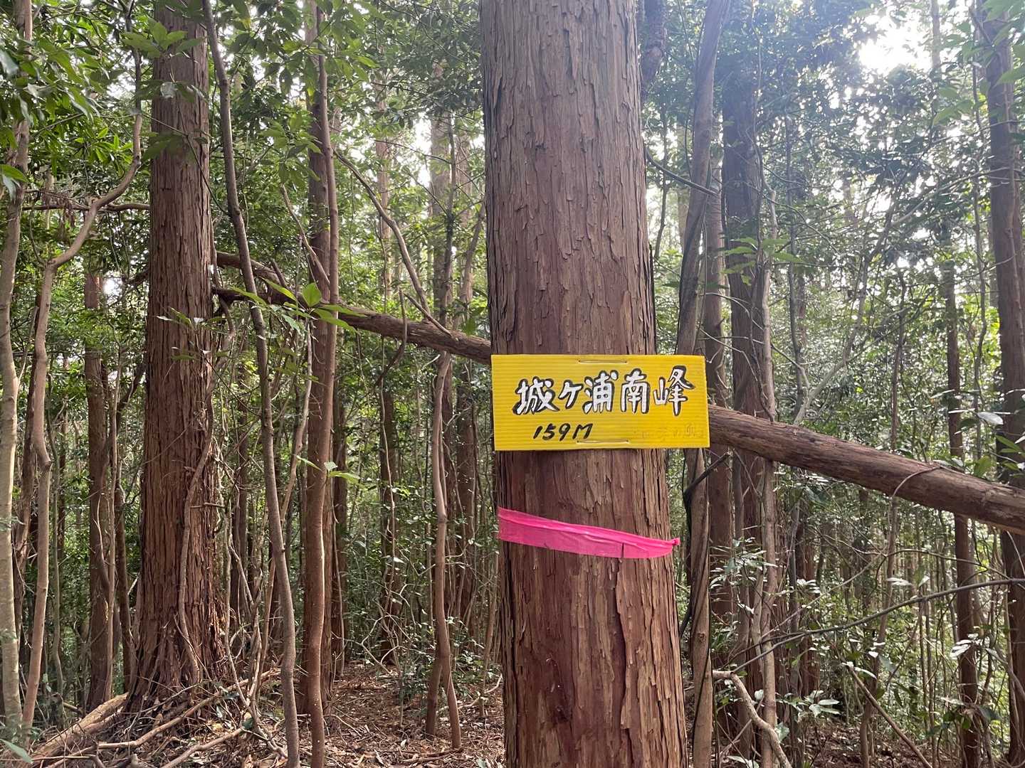 ルート間違え反対方向に😂
再び 先程の山頂に戻ってきました😱
ヤブ往復疲れました😂
ヒモは引く事は🆖にします😁