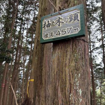 🚩鈴鹿の山名板╰(*´︶`*)╯♡
登って良かったー

柚之木峠から激登りだった🥵