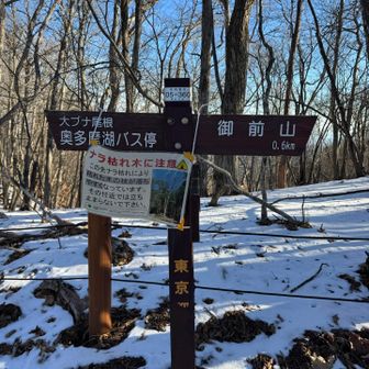 序盤の御前山までは
ほんたに急登ばかり、、、

所々になだらかになるホッとポイントがあって助かった😅
