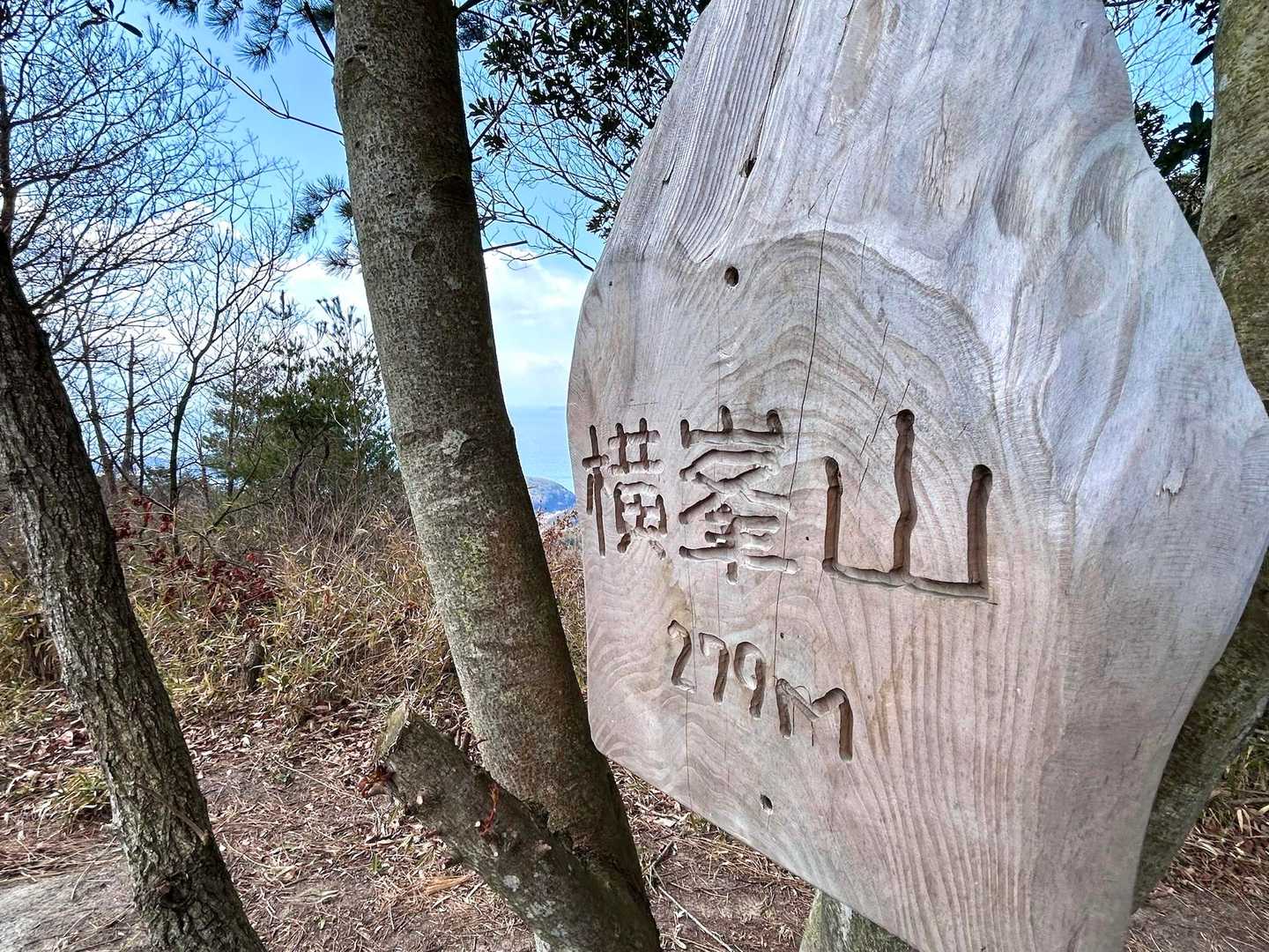 お馴染みの標識
虫が歩いたような‥