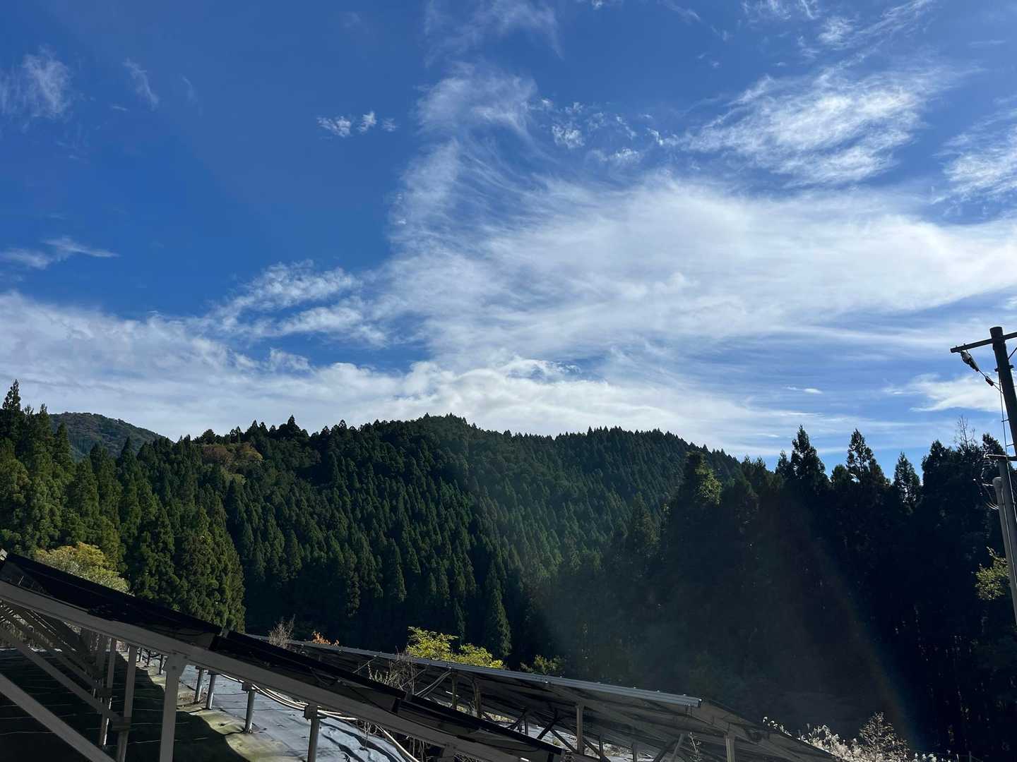 今日も快晴の中、樹林帯へ向かいます。