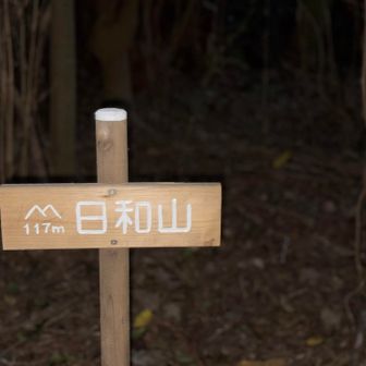 暗くて行きすぎちゃったけど山頂