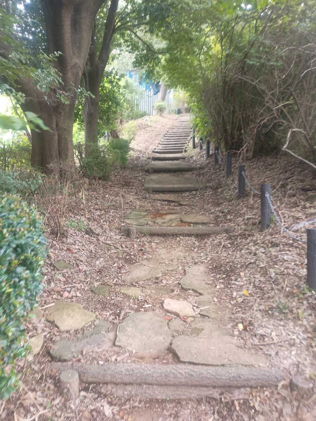 諏訪ヶ岳-古道五差路 縦走コースの写真