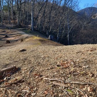 ここまで緩い登りでノーダメだわ🤭
